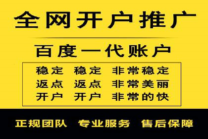 百度竞价代运营实战案例分析
